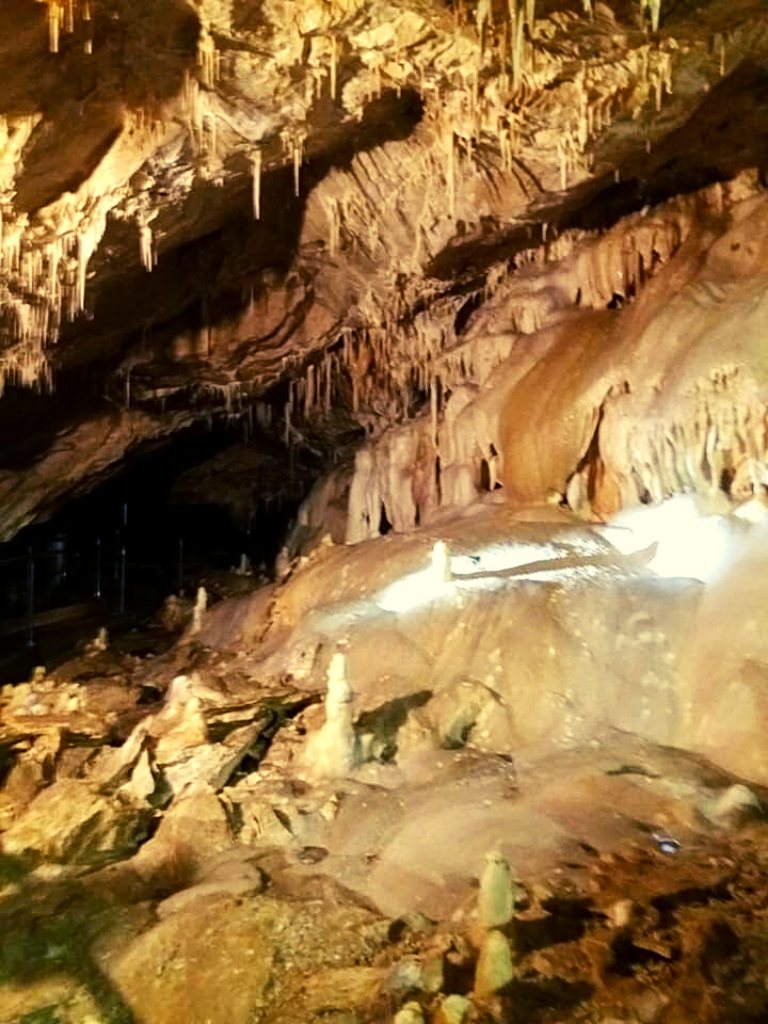 stalaktyty i stalagmity w jaskini niedźwiedzia